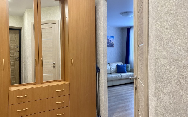 Квартира Елизаровых 40