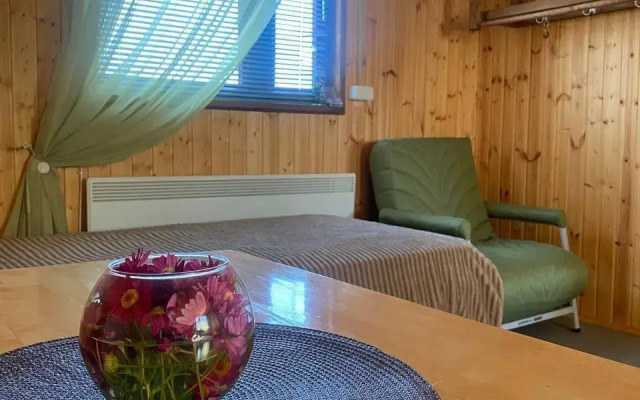 Частный дом на Пограничном переулке 3А (3)