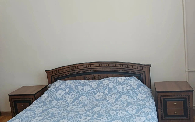 Alaniya Guest House