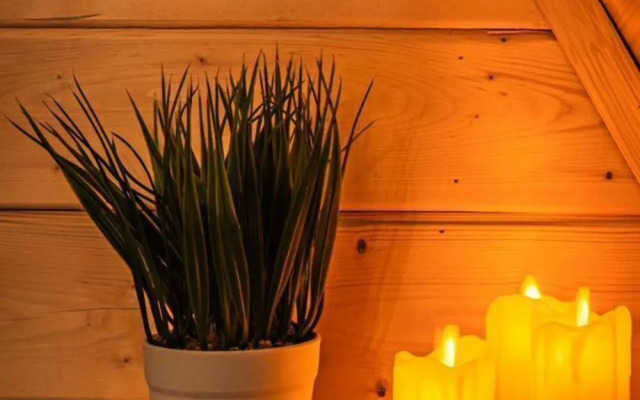 Частный дом на Каштановой 219