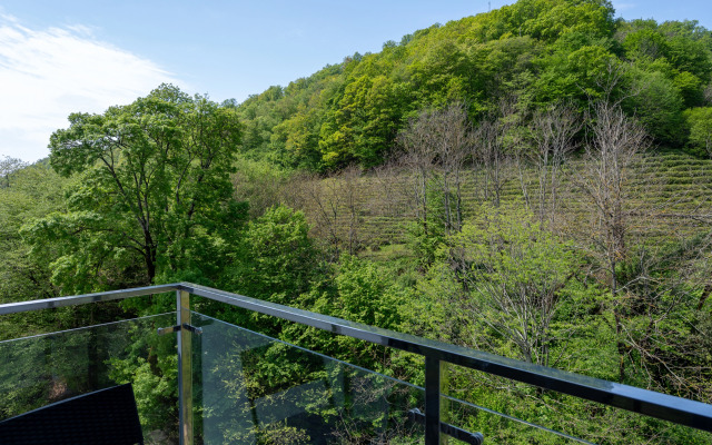 Апартаменты 15 Студия с бассейном и видом на горы