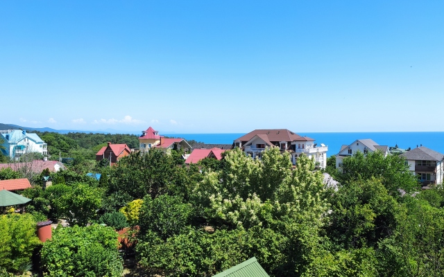 Albatros Guest House