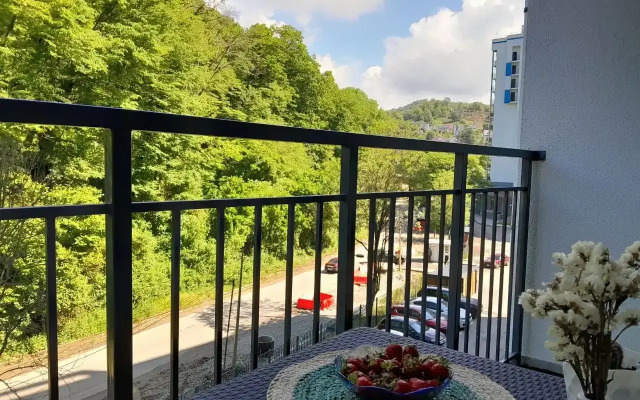 Studiya 55 V Letnem Apartments