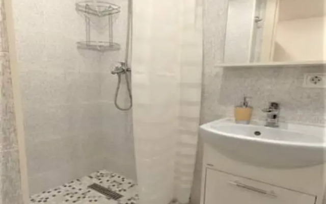 Апартаменты Двухъярусная Студия на Большой Пушкарской 60  №7