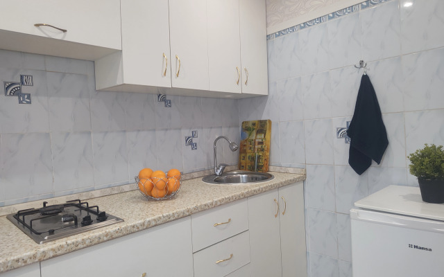 Квартира Мечникова 30