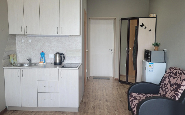 Апартаменты Golden Horn Central