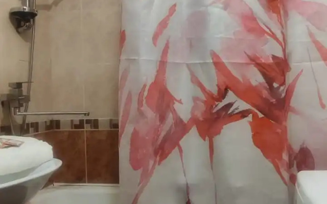 Апартаменты Фламинго