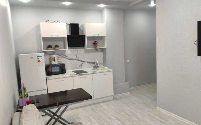 Апартаменты Возле Ж/Д Вокзала на Пархоменко 2 (431)