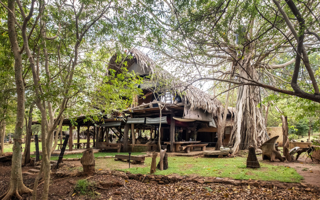 Banyan Camp