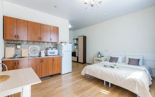 Apartamenty v Samom Tsentre na Belinskogo 30 (565)