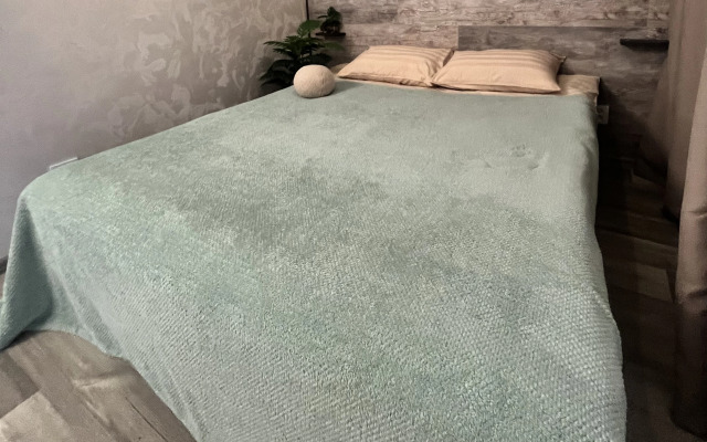 Uyutnaya Studiya V Tsentre Flat