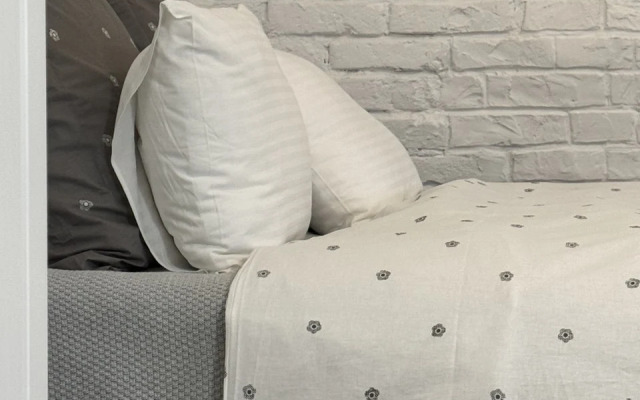 Апартаменты в Доме купца Переплетчикова