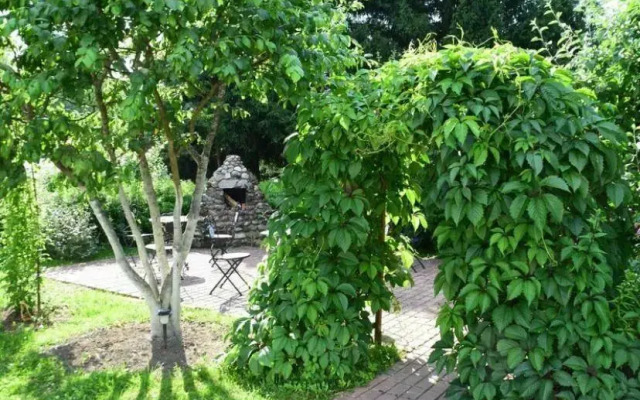 Хутор Старая Кууса