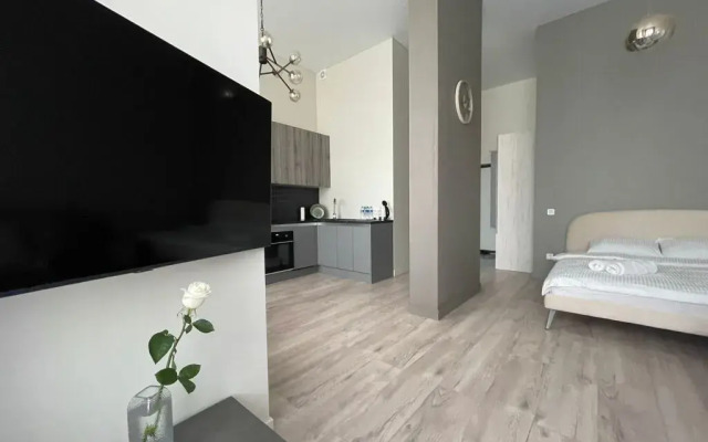 Апартаменты Люкс с Красивым Видом Пентхаус Mix