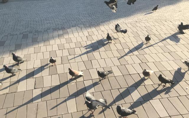 Квартира на Арцыбушевской 45/4