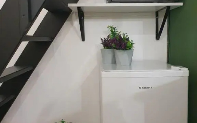 Апартаменты Paradnaya №7 1