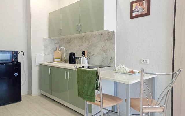 Studiya v novom sovremennom rayone Flat