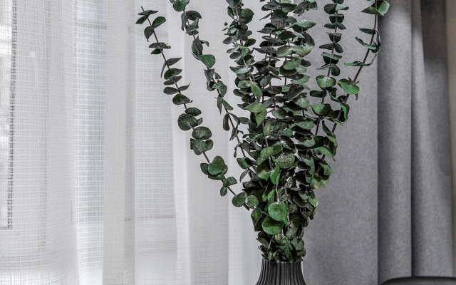 Апартаменты Northwind в центре Петербурга