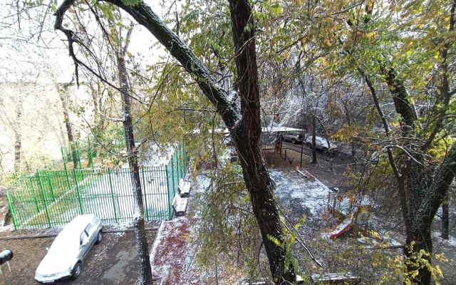 1-K Na Auezova U Trts Maxima Almaty Flat