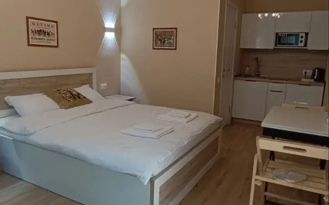 Studiya V Tsentre Pyatigorska Flat