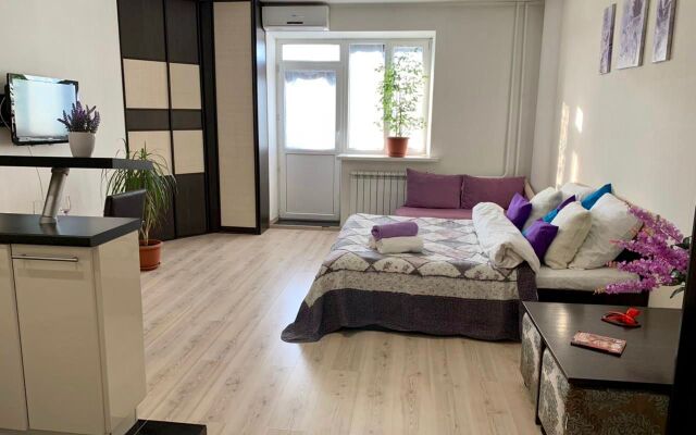 Апартаменты в центе Тюмени, Гелерея Вояж, Гор Сад