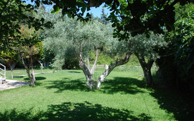 Villa Alexander