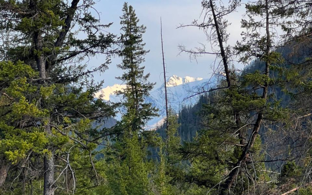 База отдыха Altai Geyser Lake