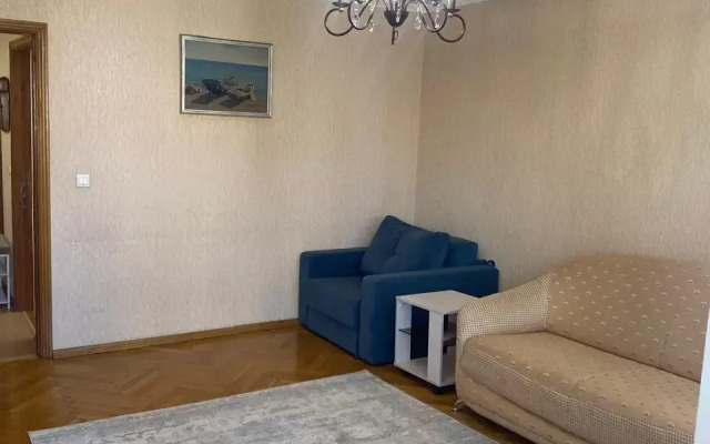 V Tsentre Apartments