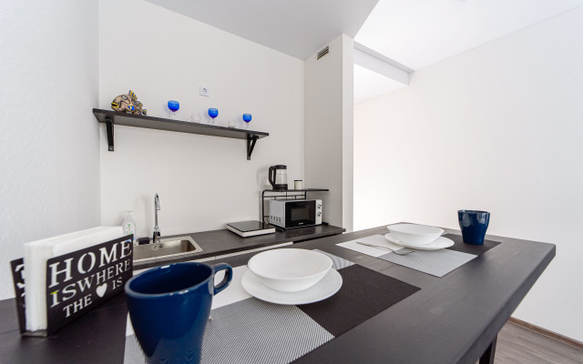 Квартира Радищева 41