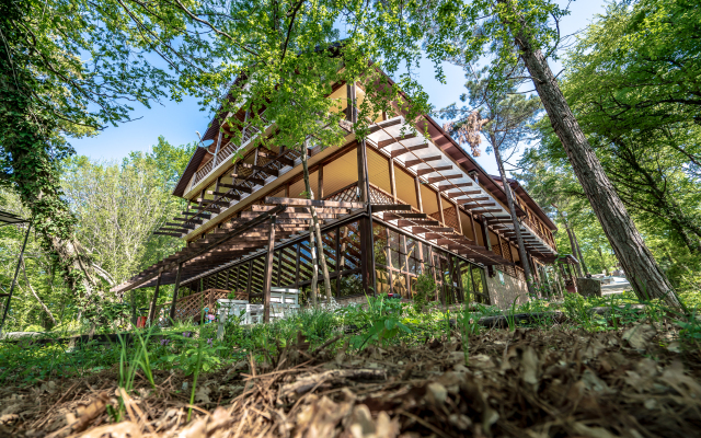 Green Wood Mini-Hotel