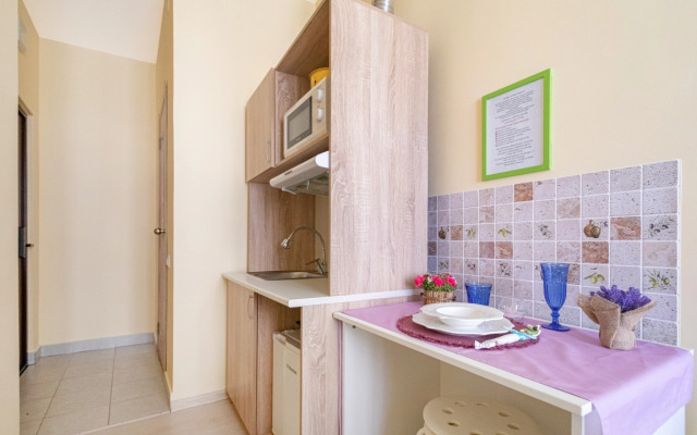 Апартаменты в ЖК Царская Площадь 383-1