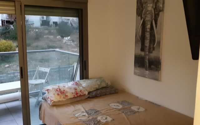 Апартаменты Studio in the Heart of Haifa