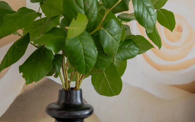 Апартаменты Вгости33 на Мира 4-Б