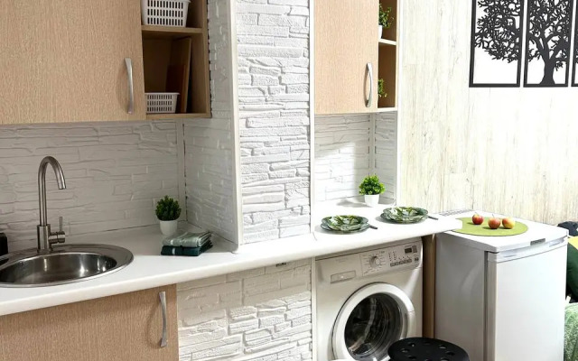 Квартира Студия 100 метров от метро