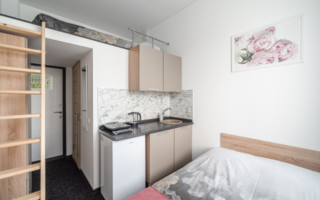 Apart-Otel Nizhniy Oranienbaum (306)