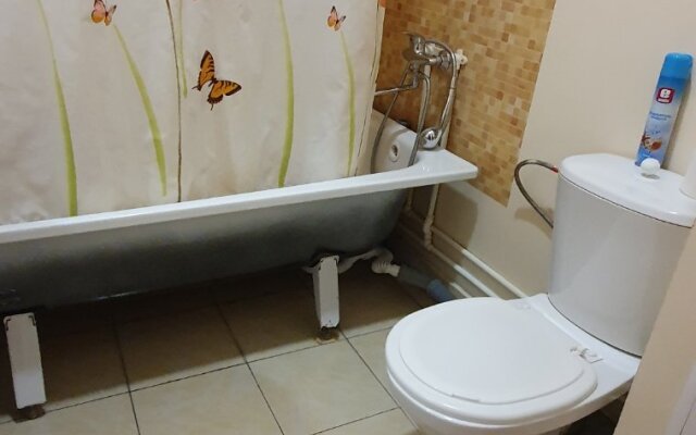 Vozle Ashana Flat