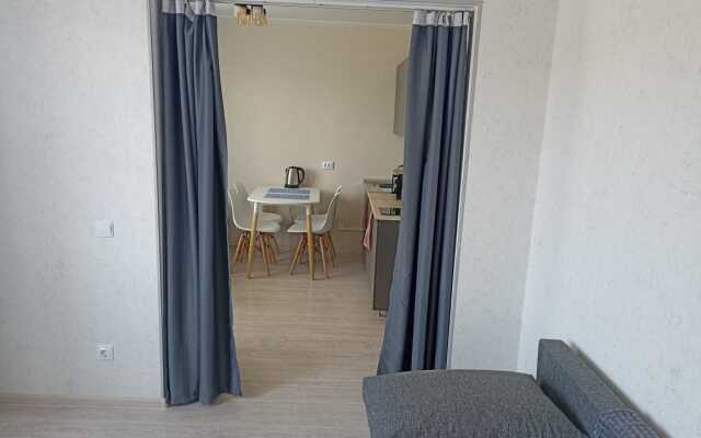 Novaya smart-studiya (462) Flat