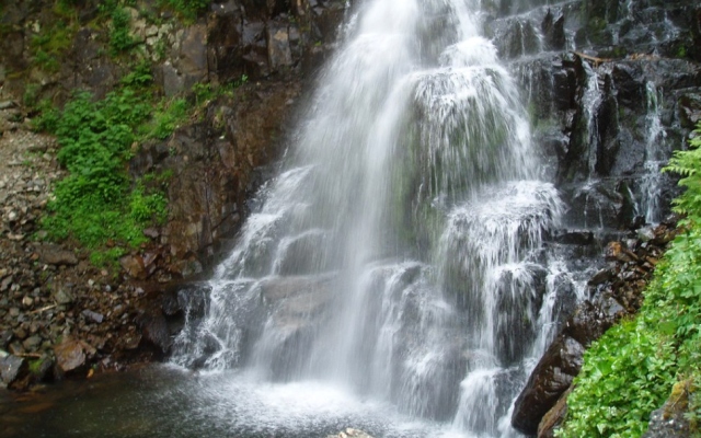 Мини-Отель Арфа