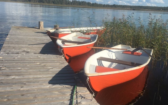 Гостевой дом Дикий Гусь