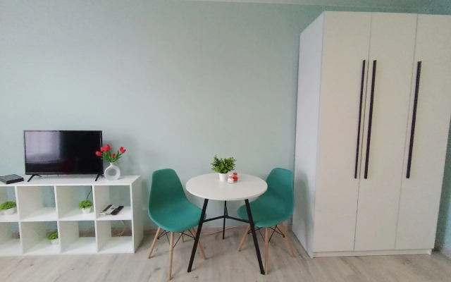 Biryuzovaya komnata v tsentre goroda furnished room