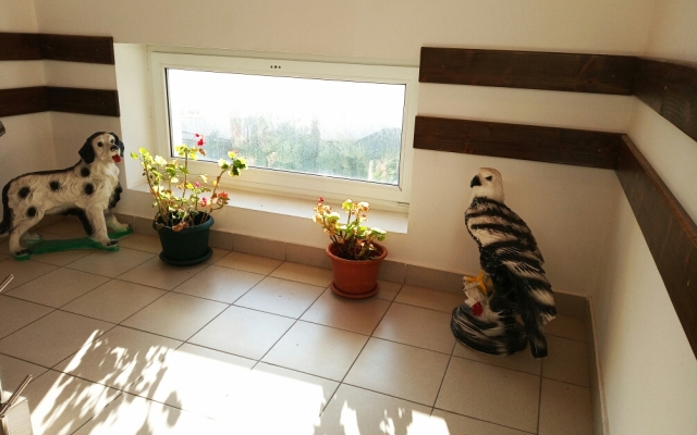 Uyut na Dekabristov Guest House