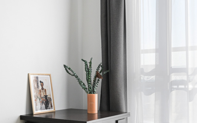 Briz Zaliva Flat