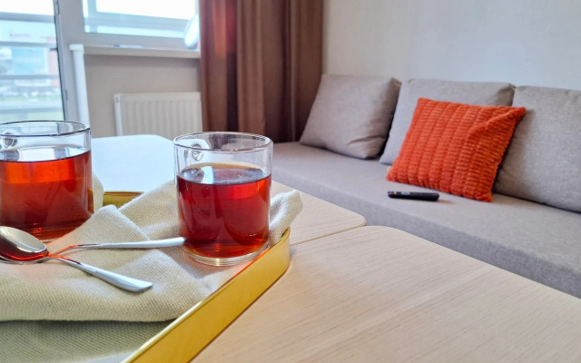 Апартаменты Просторные с видом на парк