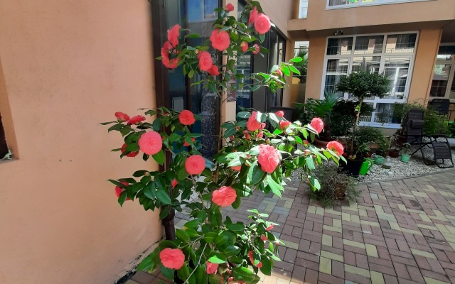 Versal Guest House