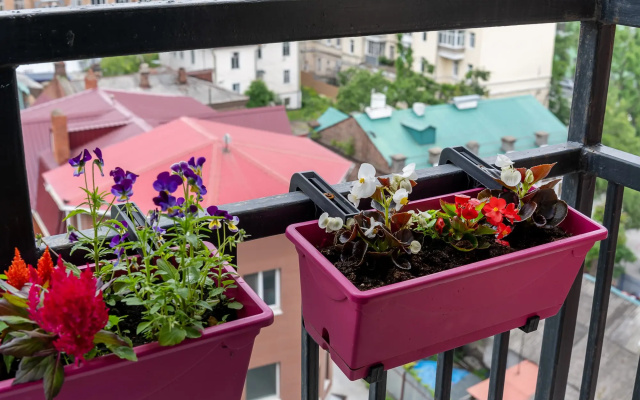 Apartamenty Scandi Home