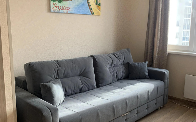 Квартира Притомский проспект эконом однушка