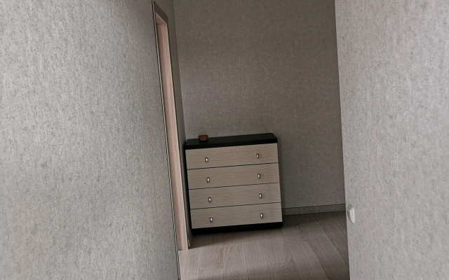 Kvartira 2h Komnatnaa Studia v Centre
