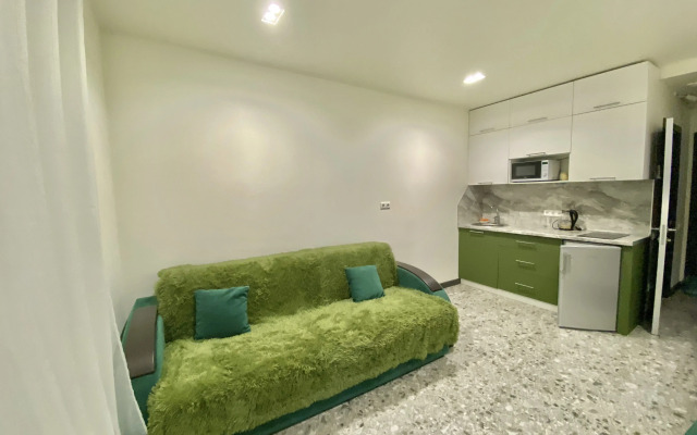 Studiya V Tsente Kurorta Apartment