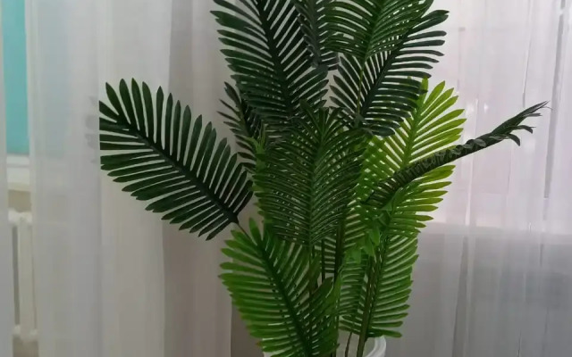 Ostrovok Uyuta Flat