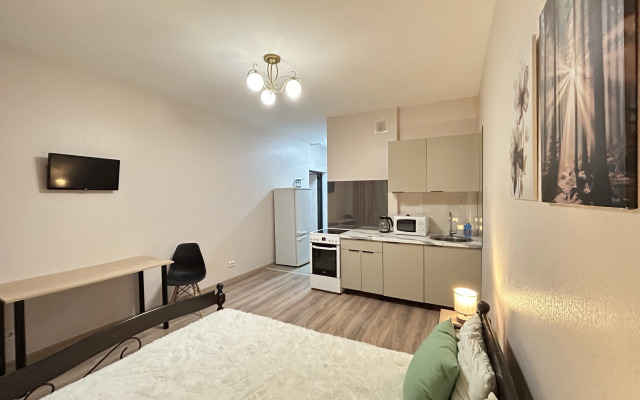 Квартира Студия на Московской